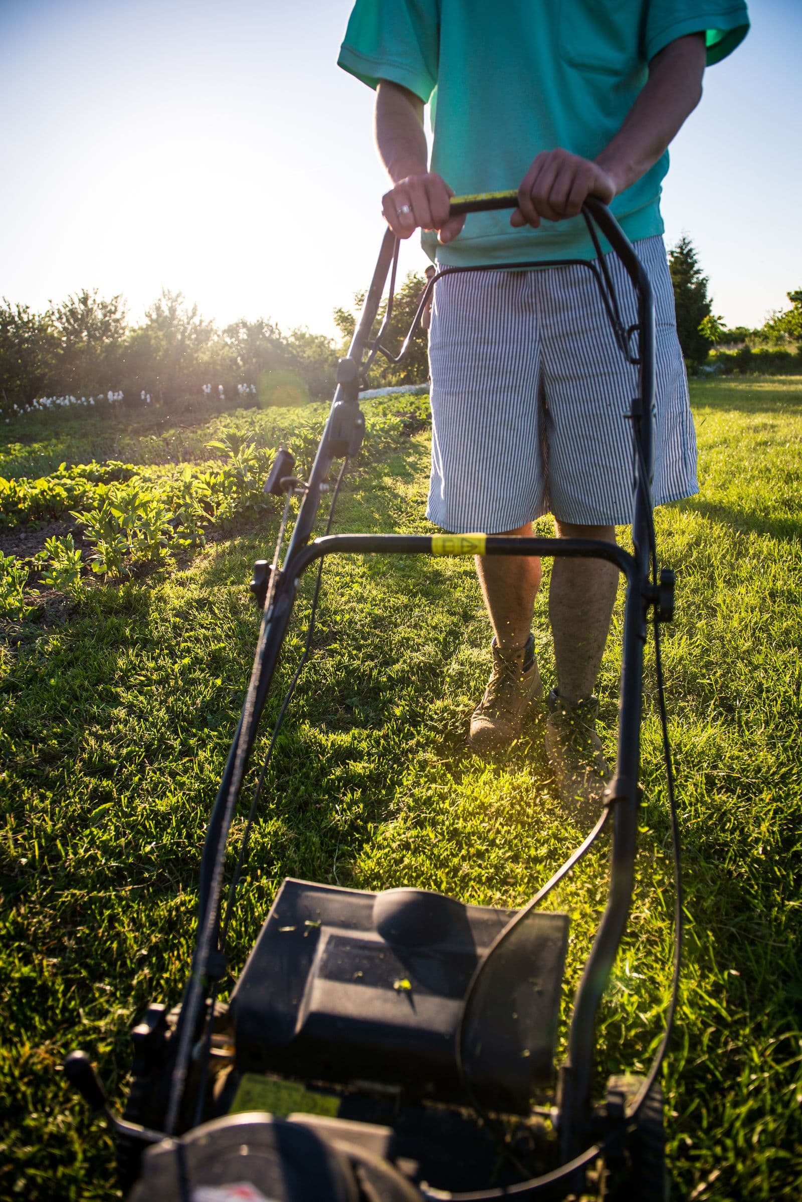 Lawn & Yard Maintenance