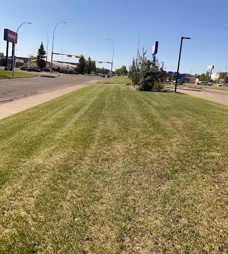 Long, straight stripes on a wide boulevard.