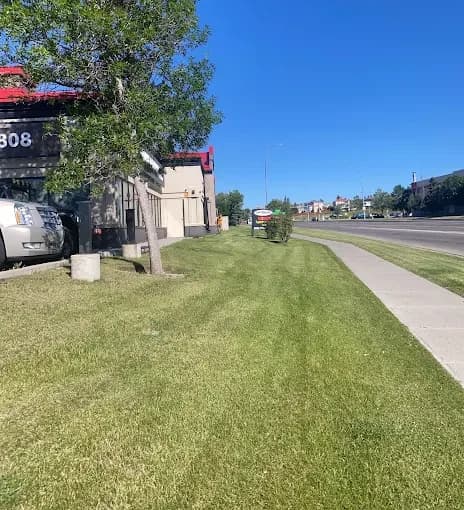 Weekly mowing and trimming that keeps a business frontage sharp all season.