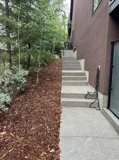 Shrubs and mulch softening a building's side entrance.